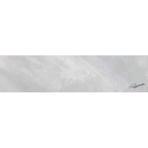 Керамогранит Roberto Cavalli Bright Pearl SNOW FIRMA RT 20x80