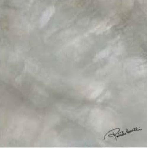 Керамогранит Roberto Cavalli Bright Pearl SILVER FIRMA RT 0531229 80