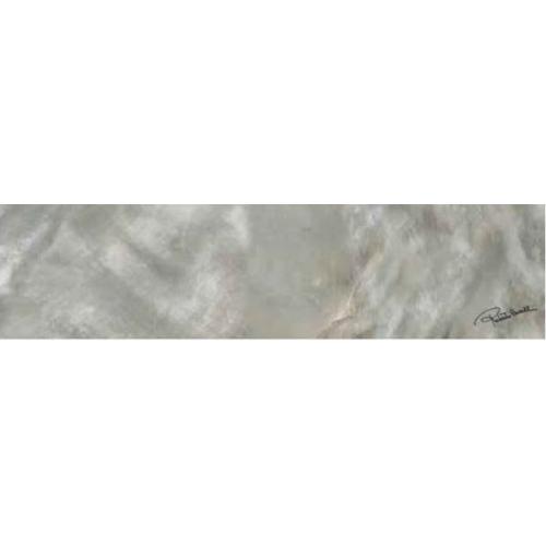 Керамогранит Roberto Cavalli Bright Pearl SILVER FIRMA RT 0531235 20x80