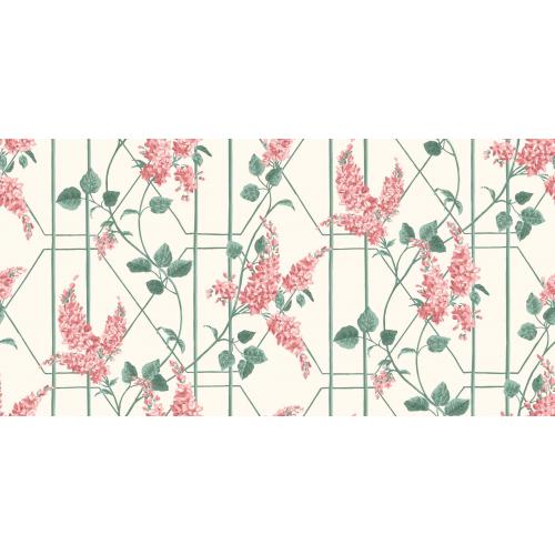 Обои Cole & Son Wisteria