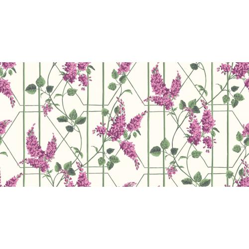 Обои Cole & Son Wisteria