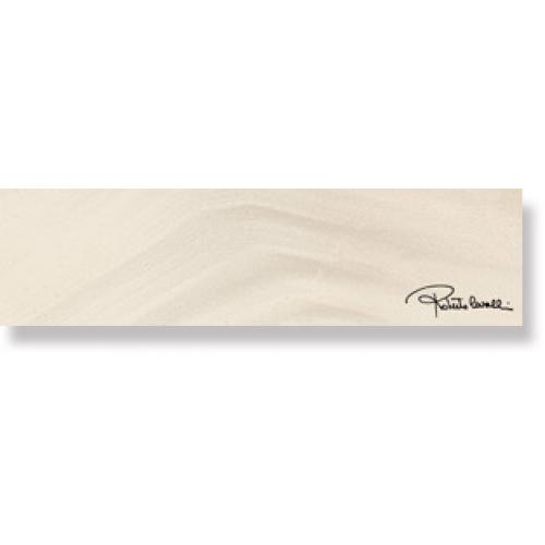 Керамогранит Roberto Cavalli Agata BIANCO LAPP FIRMA 558906 25x100