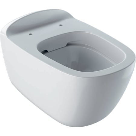 Подвесной унитаз вертикальный смыв Geberit Citterio, закрытая форма, Rimfree