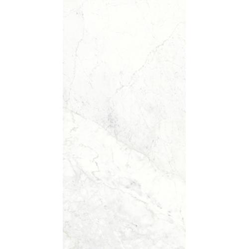 Ariostea Michelangelo Altissimo