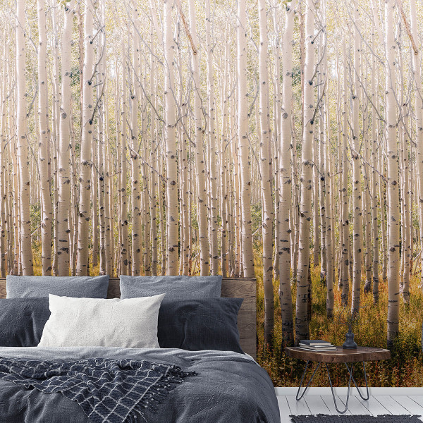 Обои Grandeco Birch Tree / A42601