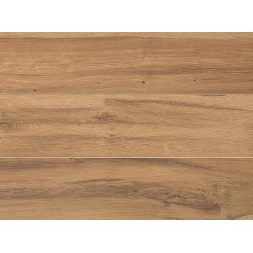 Керамогранит Atlas Concorde Etic Rovere Venice 22,5x90