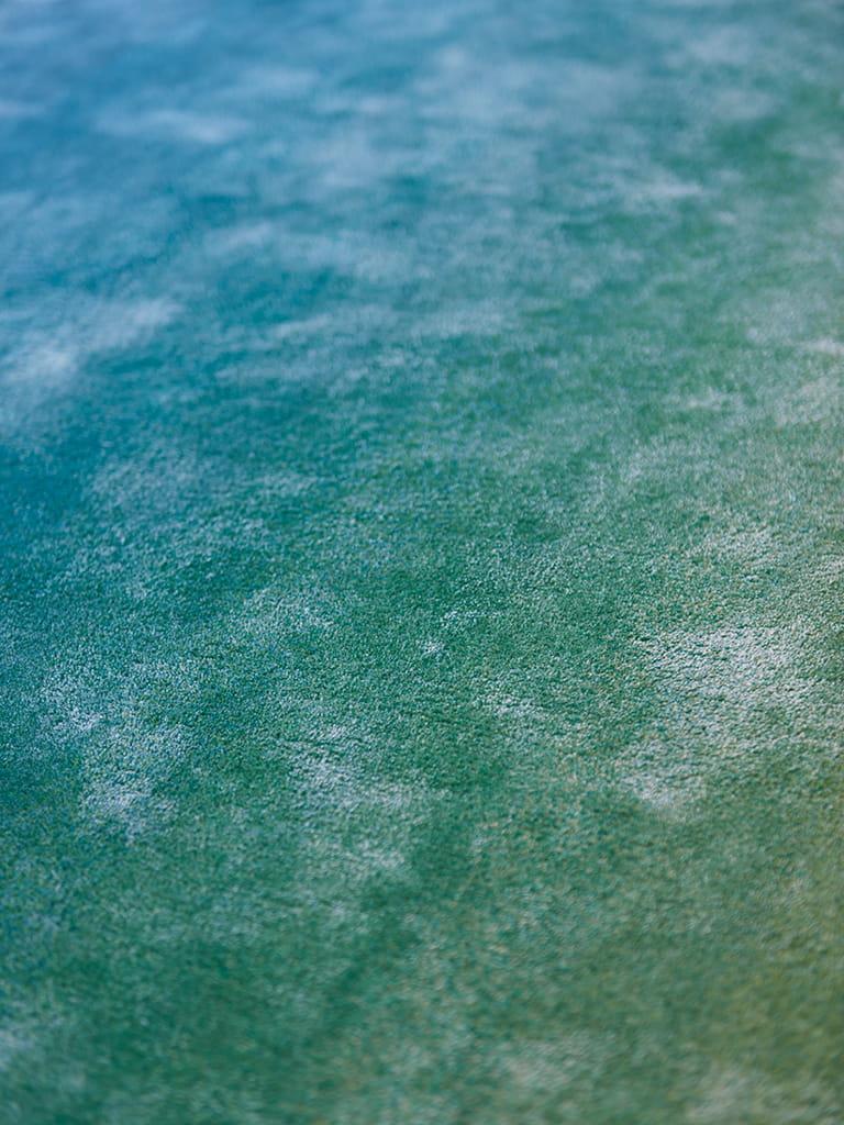 %s