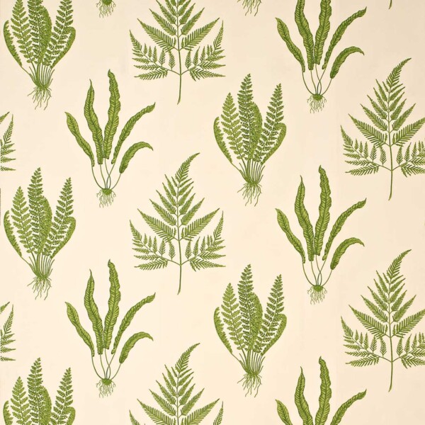 Ткань Sanderson Woodland Ferns | DAPGWO202 1 Ткань Sanderson Woodland Ferns | DAPGWO202