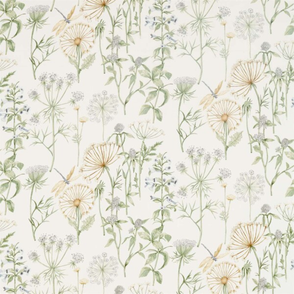 Ткань Sanderson Wild Angelica | 226437 1 Ткань Sanderson Wild Angelica | 226437