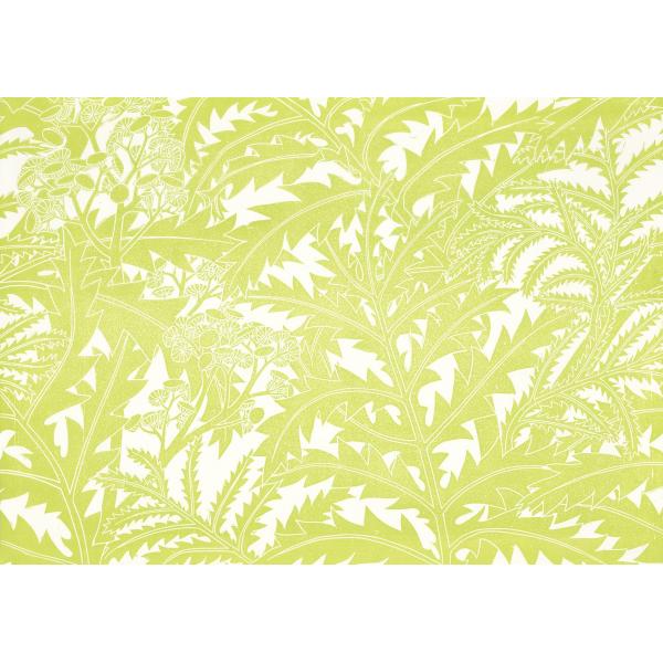 Обои Hamilton Weston Tansy