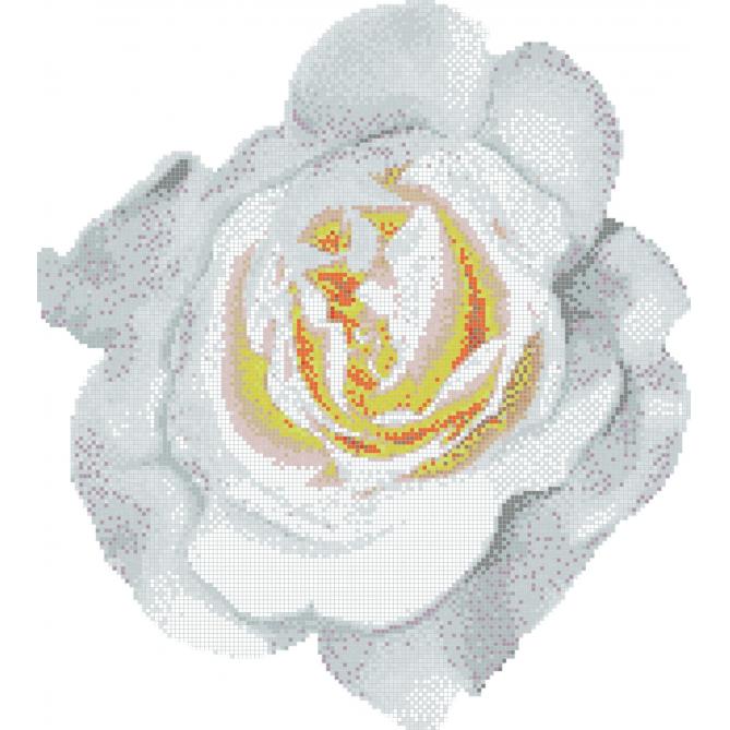 Мозаика Bisazza Rosa Bianca